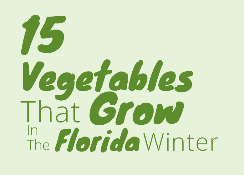 15 Vegetables That Grow In The Florida Winter