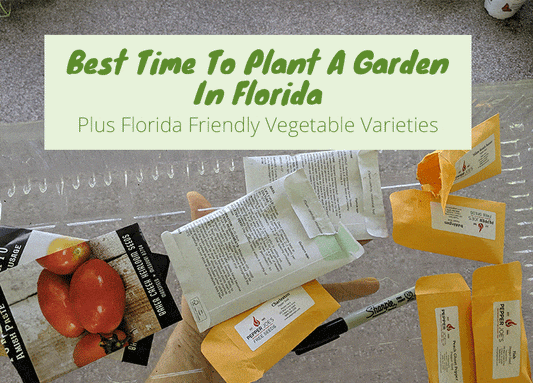 When Should I Start A Garden In Florida?