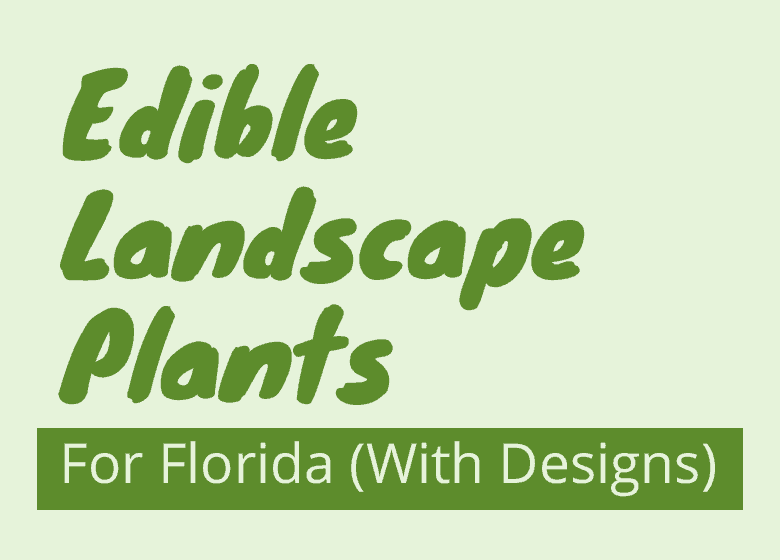 Edible Landscape Plants For Florida