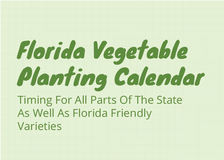 Florida Vegetable Planting Calendar