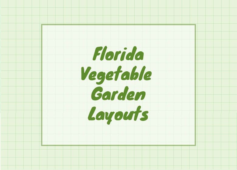 Florida vegetable garden layout Ideas
