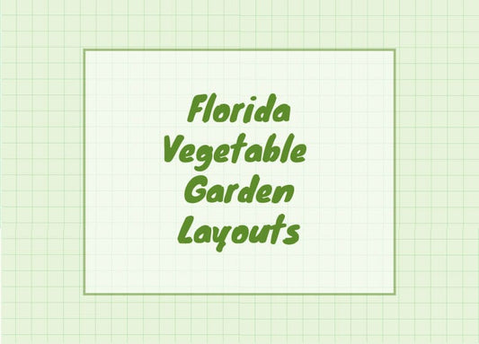 Florida vegetable garden layout Ideas