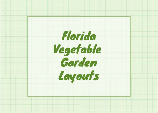 Garden Layout: How to Arrange Your Plants for Maximum Sunshine (and Survival)