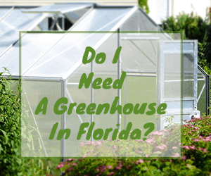 Do I need a greenhouse in Florida?