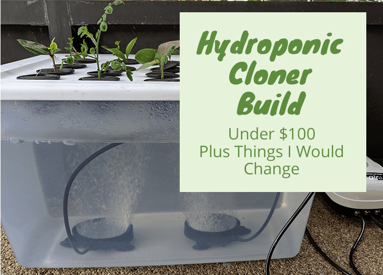 Building A Hydroponic Cloner