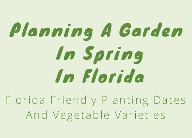 Planning And Planting A Spring Garden In Florida