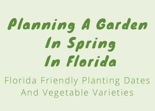 Planning And Planting A Spring Garden In Florida