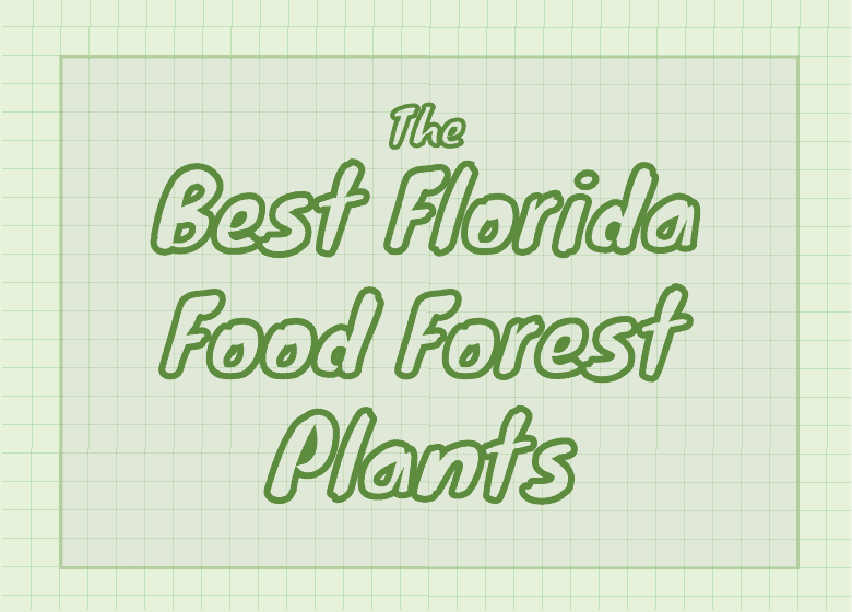 Best Florida Food Forest Plants
