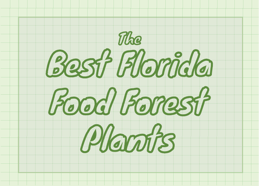 Best Florida Food Forest Plants