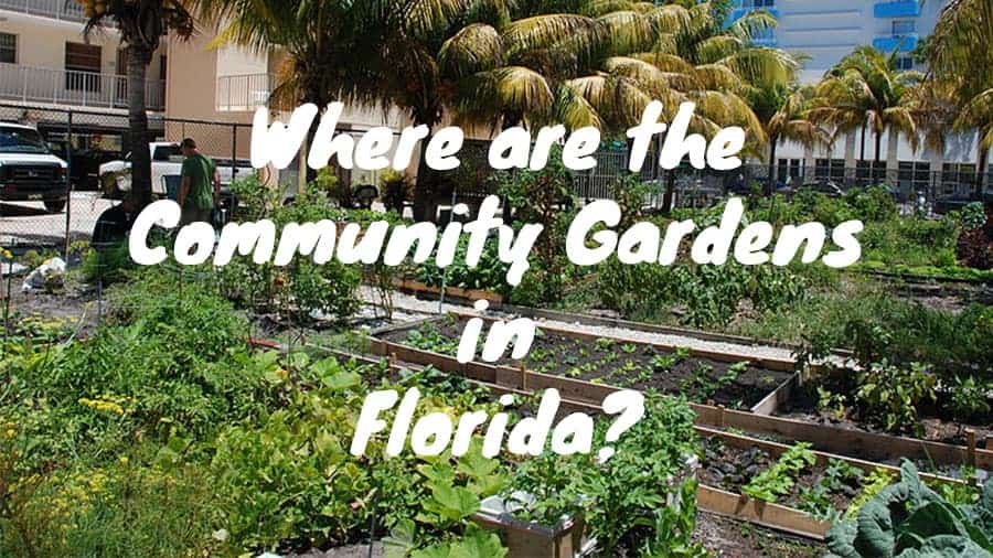 Where are the community gardens in Florida?