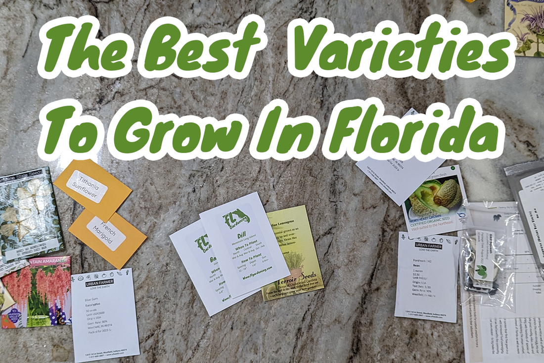 Choose The Right Vegetable Varieties For Florida