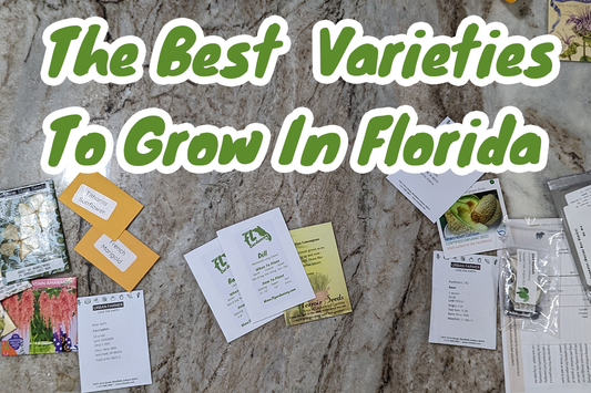 Choose The Right Vegetable Varieties For Florida