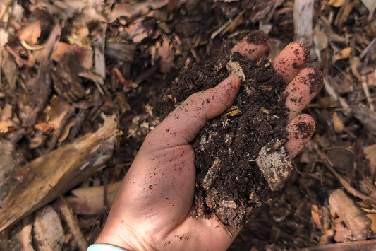 Building Soil That Doesn't Suck (How to Beat Florida Sand)