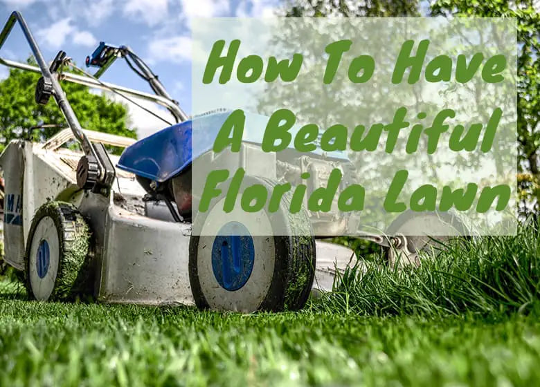 How to Have a Beautiful Florida Lawn