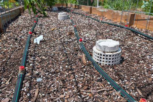 Watering Your Florida Garden (Watering is easy right?)