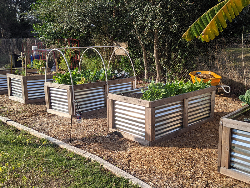 Choosing Your Garden Beds For Florida