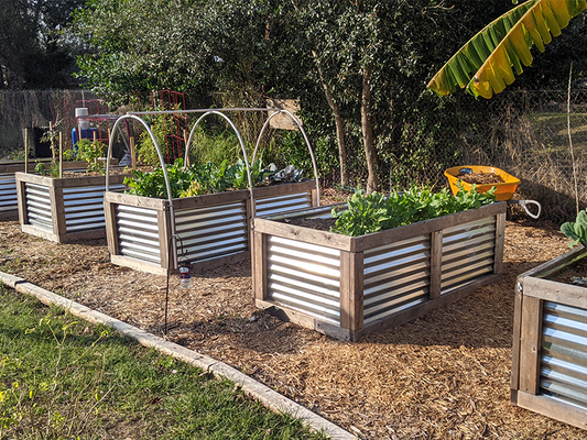Choosing Your Garden Beds For Florida