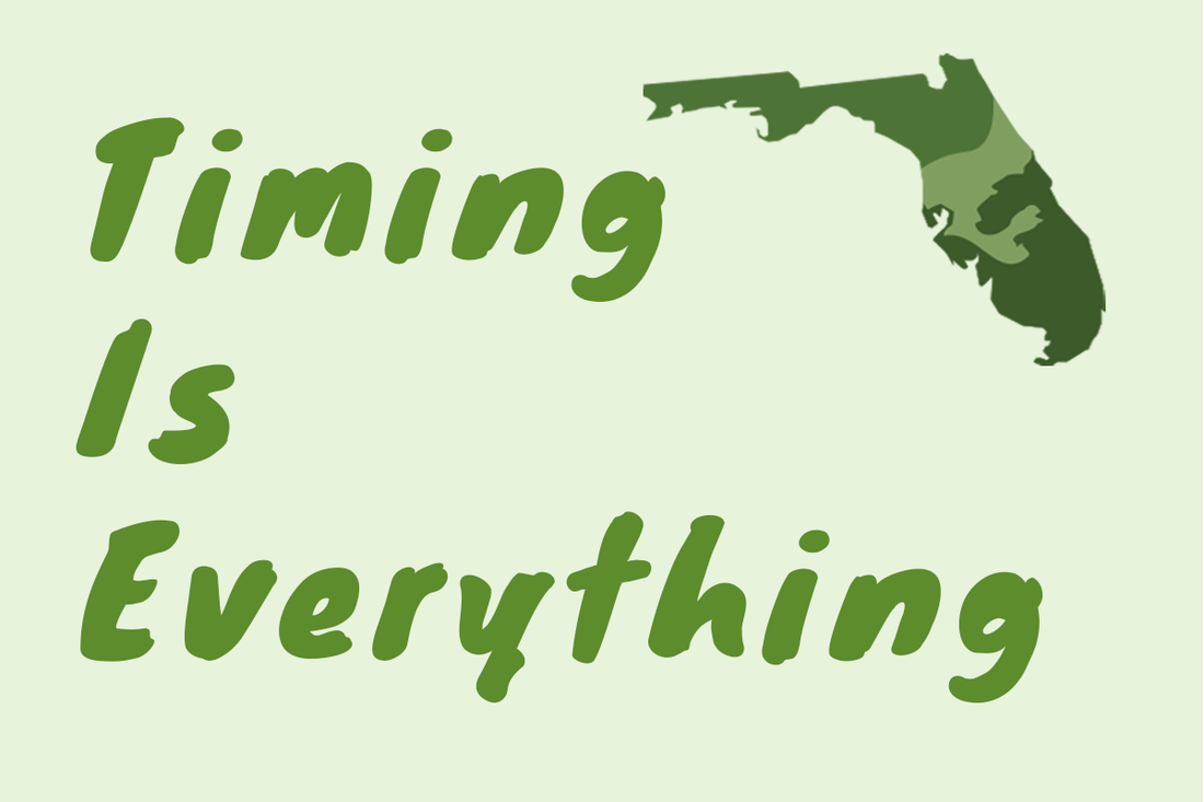 Everything You Know About the Florida Gardening Calendar is Wrong