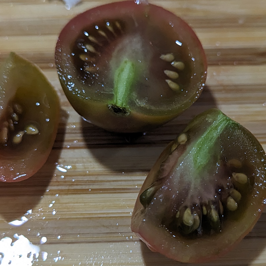 Florida Tomatoes Live Plants 3 Pack - Everglades, Black Cherry, Yellow Flame