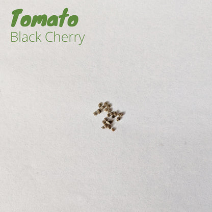 Florida Tomato Pack