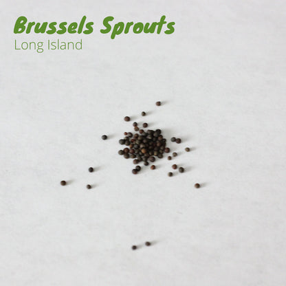 Brussels Sprouts - Long Island