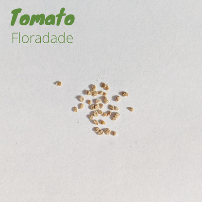 Florida Tomato Pack