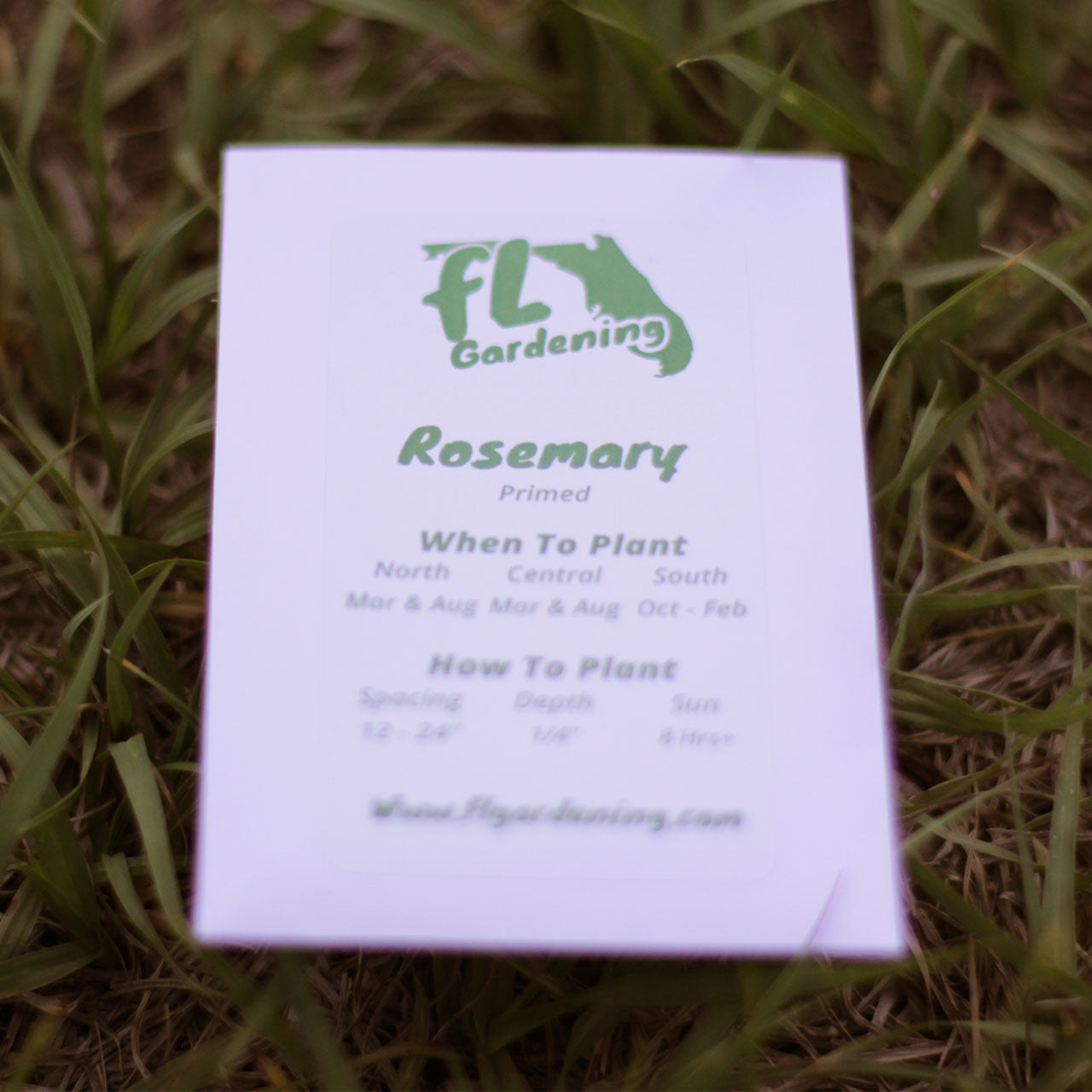 Rosemary - Primed Rosemary