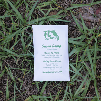 Sunn Hemp - Crotalaria juncea