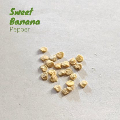 Pepper - Sweet Banana