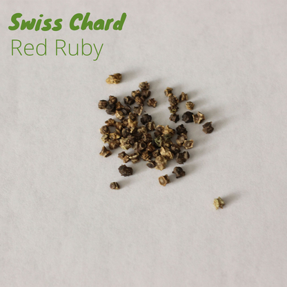 Swiss Chard - Red Ruby