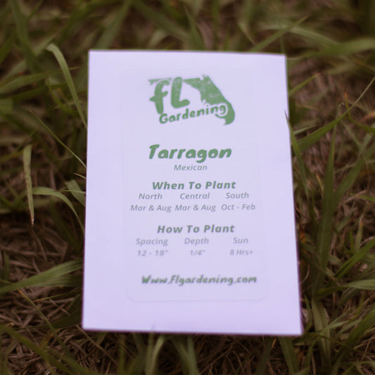 Tarragon - Mexican