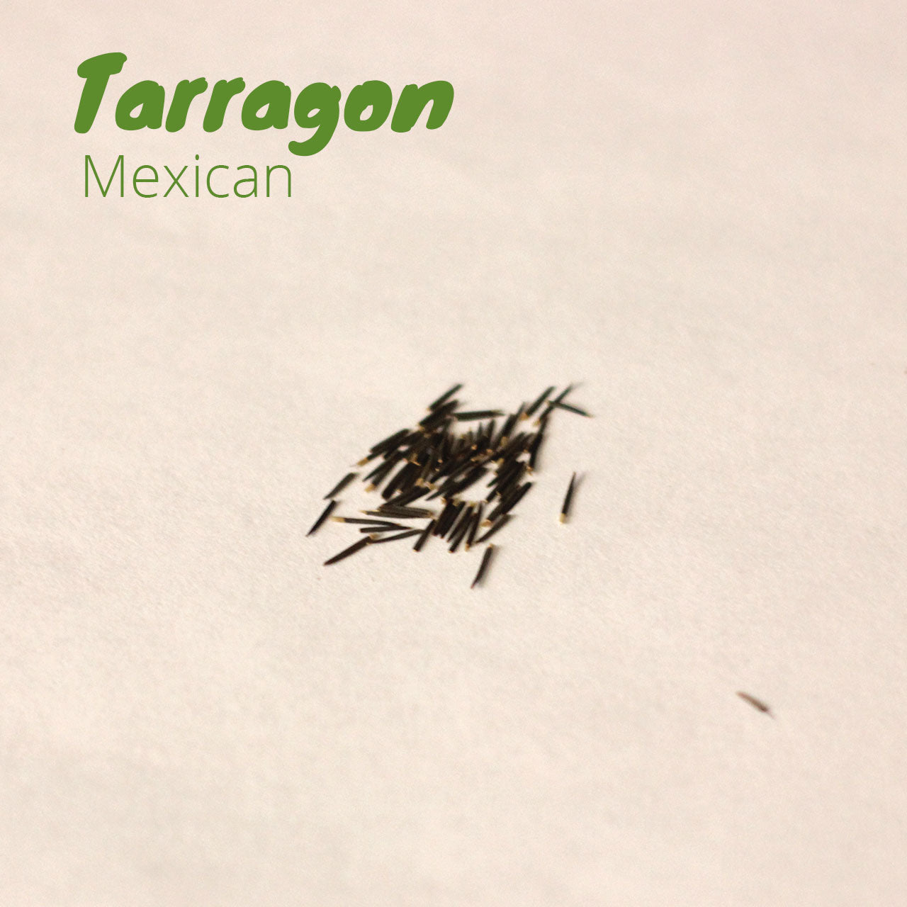 Tarragon - Mexican