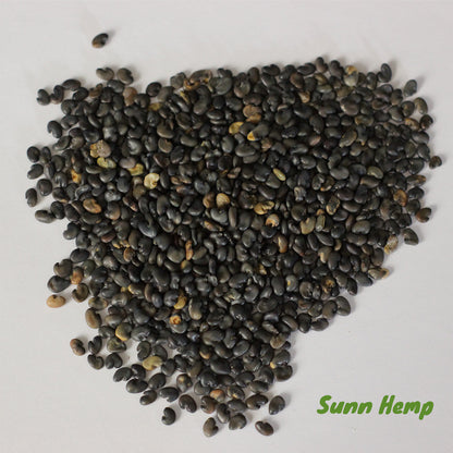 Sunn Hemp - Crotalaria juncea