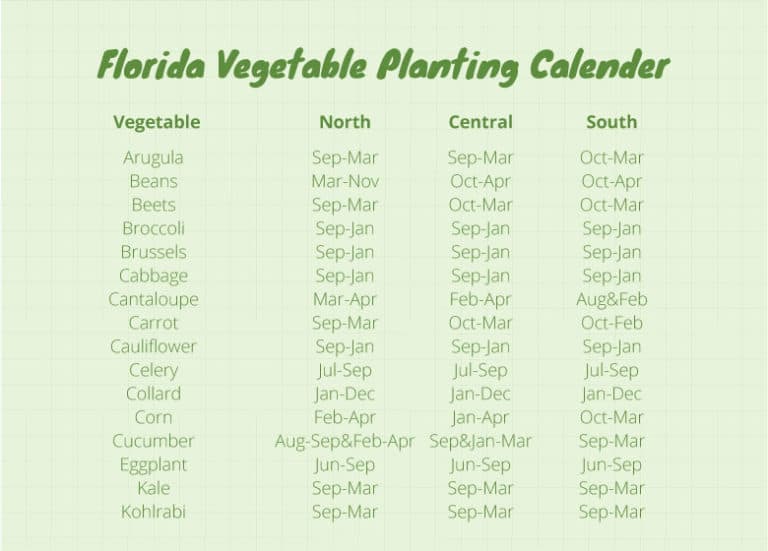 Florida Vegetable Gardening A Complete Beginners Guide