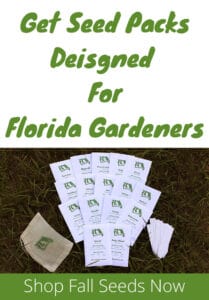 Growing Tomatoes in Central Florida – Fl Gardening